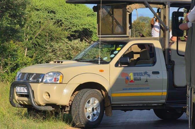 Big Five Kruger Safari Adventure Starting in Cape Town