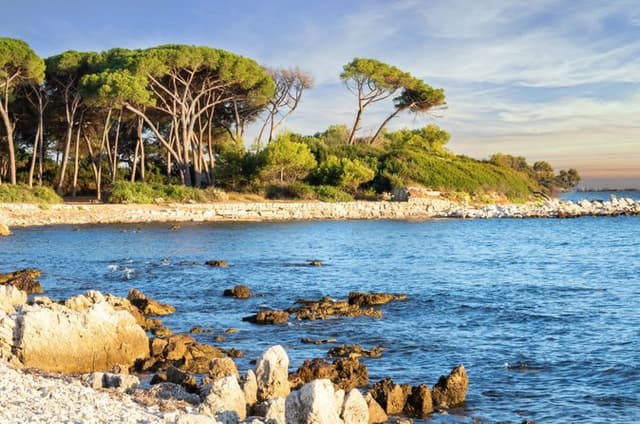 Cannes Islands Escape – Private Shore Tour by Boat