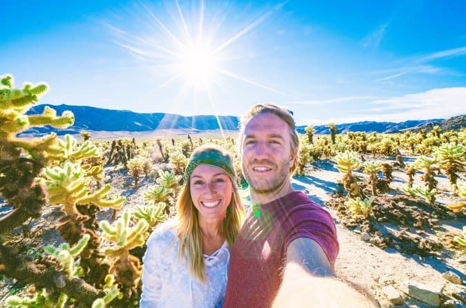 Los Angeles to Joshua Tree: Guided Desert Escape