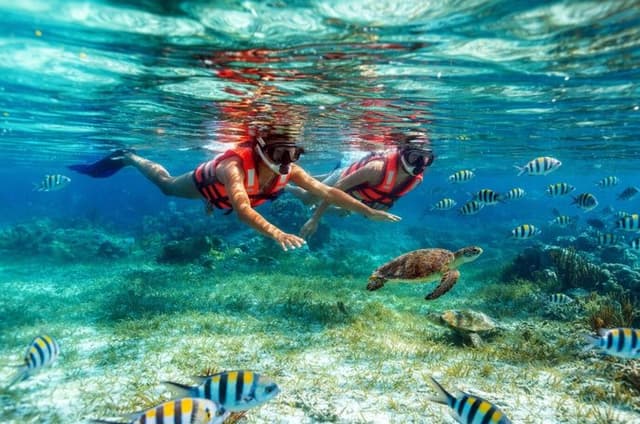 Reef Snorkeling in National Park from Cancun with Beachside Lunch