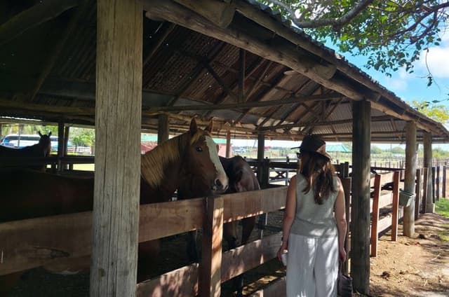 Gaucho Tour in Estancia Santa Susana from Buenos Aires