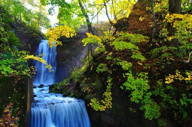Sapporo Jyozankei Private Complete Tour Summer and Autumn