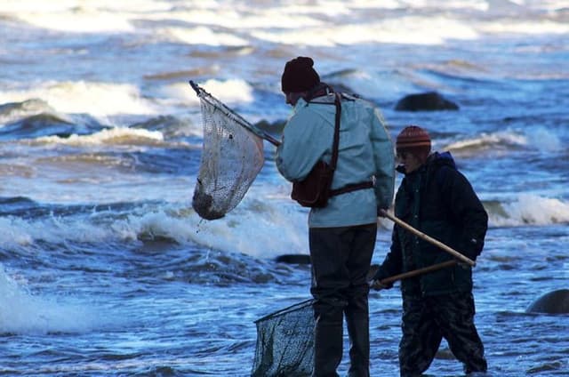 Private Tour: Amber Hunting in Curonian Spit from Klaipeda