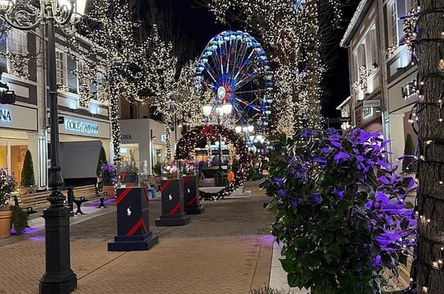 Designer Outlet Shopping Private Day from Brussels Maasmechelen