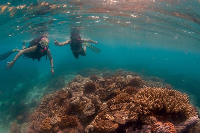 Hol Chan Catamaran Tour with Snorkel Sharks and Caye Caulker