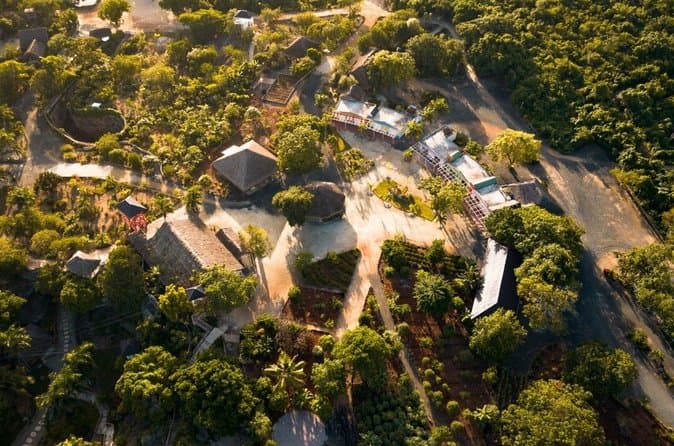 Compare Top Tours at Domitai Park