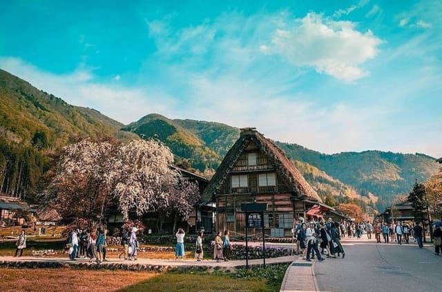 Hakodate Full Day Customized Tour with Local Guide by Private Car