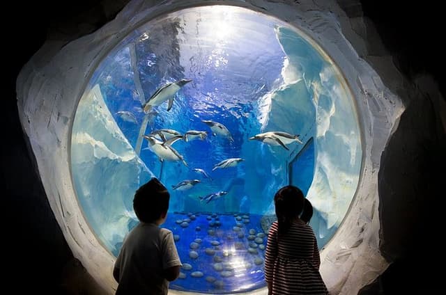 Combo Ticket Sea Life and Legoland Discovery Centre Birmingham