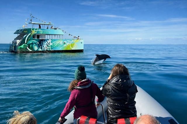 Dolphins Search and Benagil Caves from Albufeira