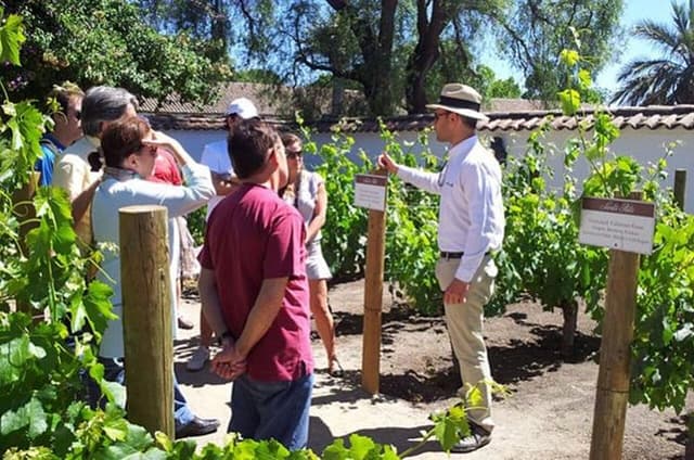 Private Wine Tour in the Maipo Valley