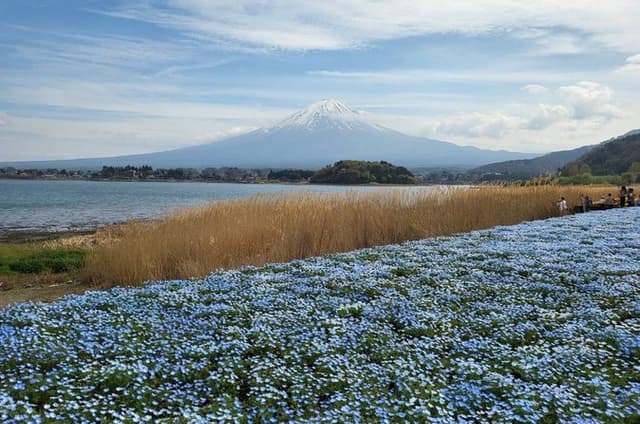 【2026 Summer】Mt. Fuji Private Car Tour from Tokyo with Pro Guide