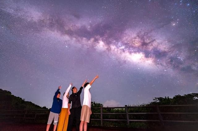 Okinawa Iriomotejima Night Adventure Tour
