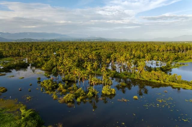 Coyuca Lagoon From Acapulco