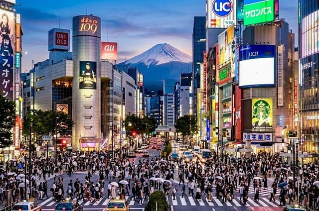 Private Curated Tour | Get Tokyo’s Must Sees & Unique Insights