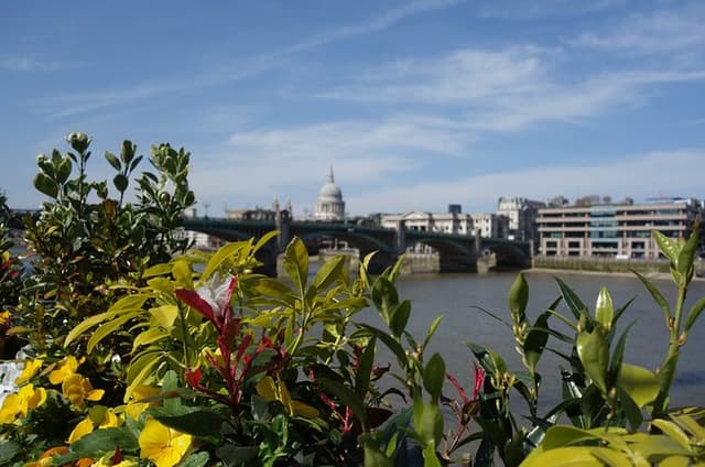 London Summer Sights Small Group Walking Tour