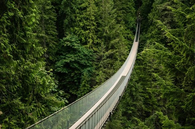 Post-Cruise Vancouver City + Capilano Tour, Optional YVR Transfer