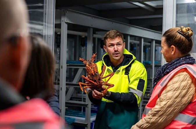 Sydney Fish Market: Foodie Tours & Tasting