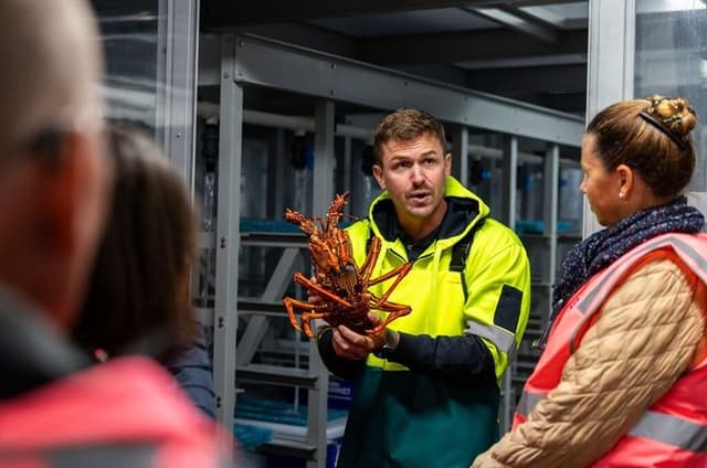 Sydney Fish Market Behind the Scenes Tour