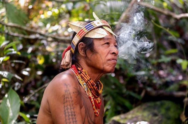 5 Day Immersion living with the Mentawai tribe
