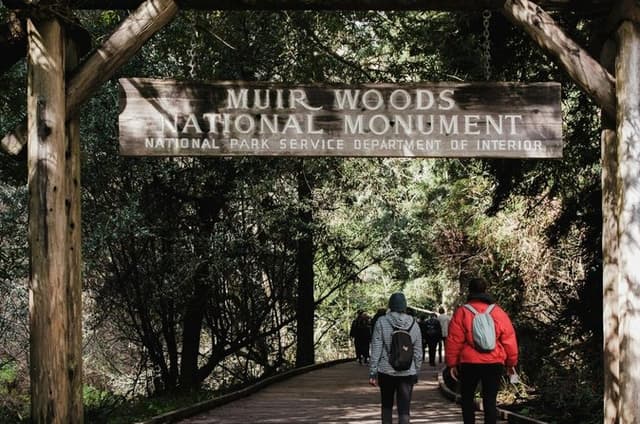 Muir Woods, Golden Gate Bridge, and Sausalito Coastal Experience
