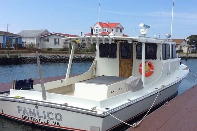 Seaside Cruising Dolphin Watching and Sunset Cruises
