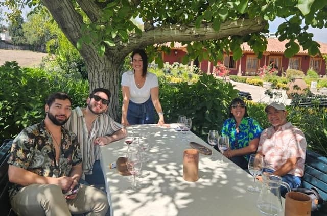 Santiago Private Wine Tasting Layover Tour Airport Pickup