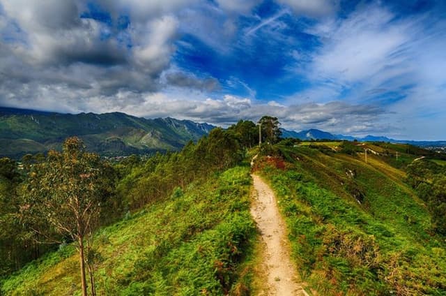 Camino de Santiago Sarria to Santiago 6 to 7 Days Tour