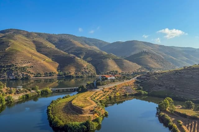 Best of the Douro in a Day: Boat, Wine and Family Lunch
