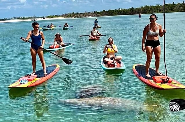 Daytona Beach Dolphin & Manatee Tour – Paddleboard or Kayak