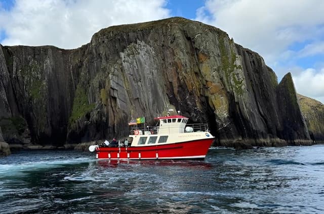 1 hour Dingle Bay Cliff Tour