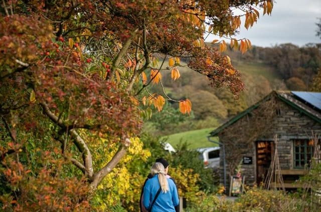 Beatrix Potter's Half Day Lake District Tour Including Lake Cruise