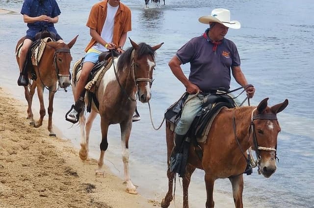 Roatan Horseback Ride, Island Tour and Brewery Tasting