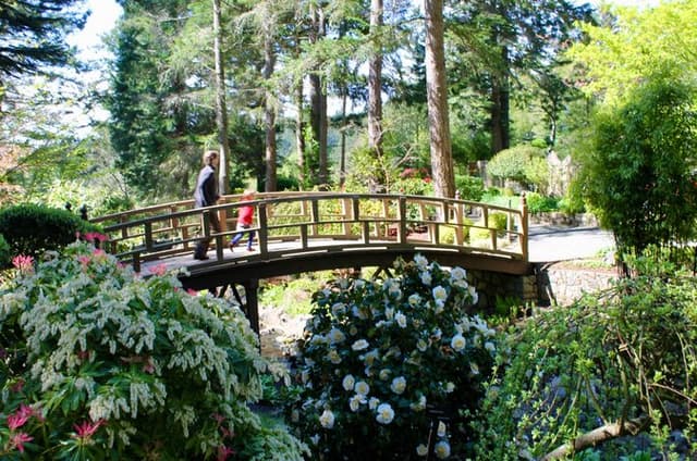 Family Tour in Victoria: Fun and Adventure for all ages