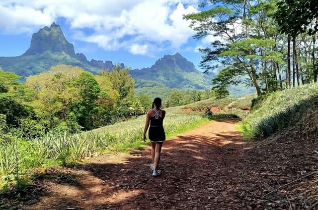 Moorea private hike Magic mountain and VIP tasting