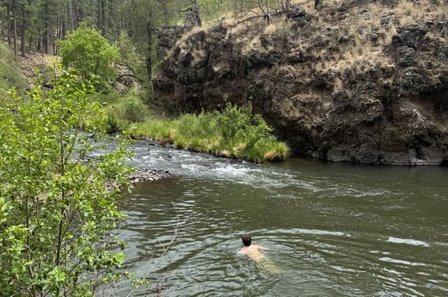 Mogollon Rim Day Adventure and Guided Hike to a Secluded Creek
