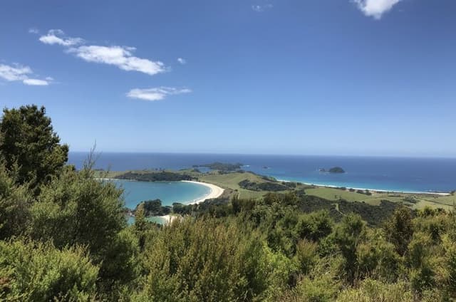 Private Bay of Islands Explorer