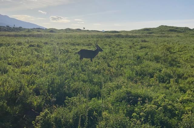Private Guided Day Trip to Arusha National Park with Lunch