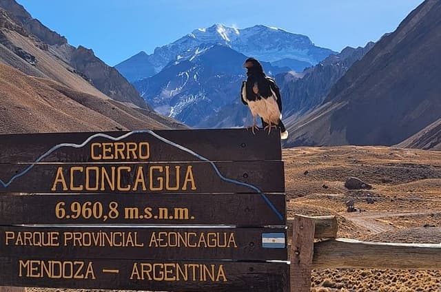 Full-Day Aconcagua Experience
