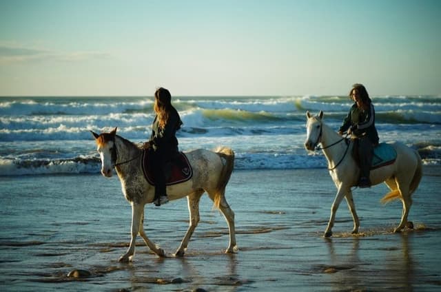 Agadir Tamraght Riding Center Taghazout Ocean Horse