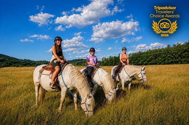 Horseback Riding Tour in Bohemian Switzerland