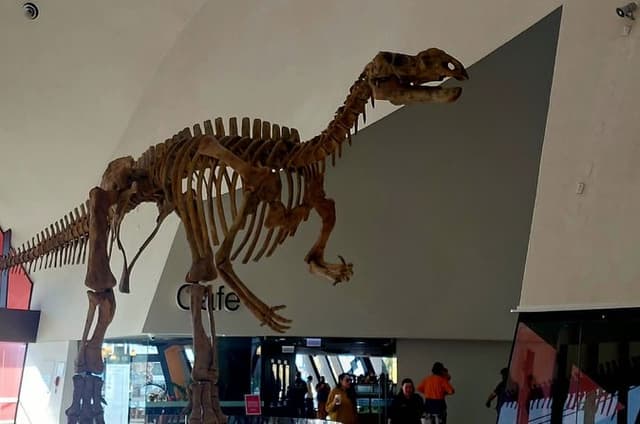 Canberra Private Day Tour