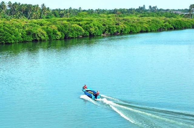 From Colombo/Negombo: Muthurajawela & Dutch Canal Boat Adventure
