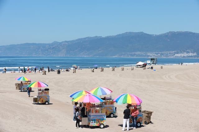 Grand LA Tour 7 Hour Open Bus Adventure from Santa Monica