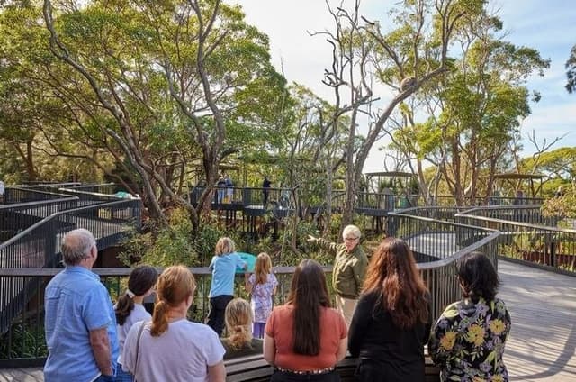Sydney Taronga Zoo's Aussie Backyard Adventure Tour