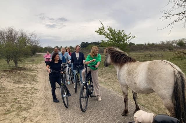 Bike Tour Haarlem | National Park | Dunes & Sea