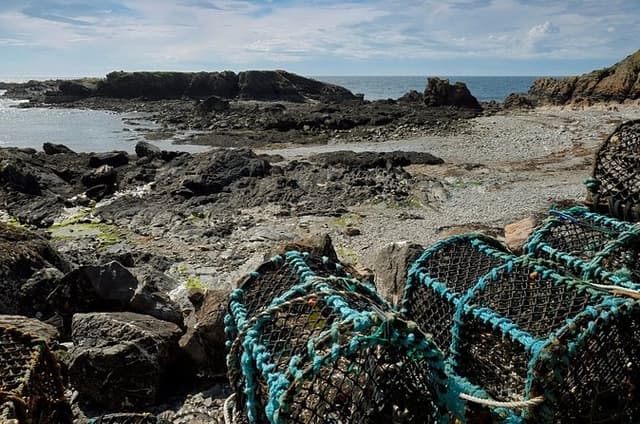 Private Tour: Peel Vikings & the Scenic West Coast
