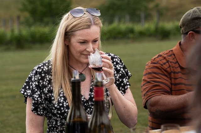 Marlborough Full-Day Wine & Vineyard Experience 6 hour