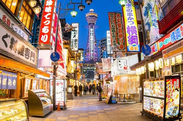 Osaka Private Tour with English Speaking Driver