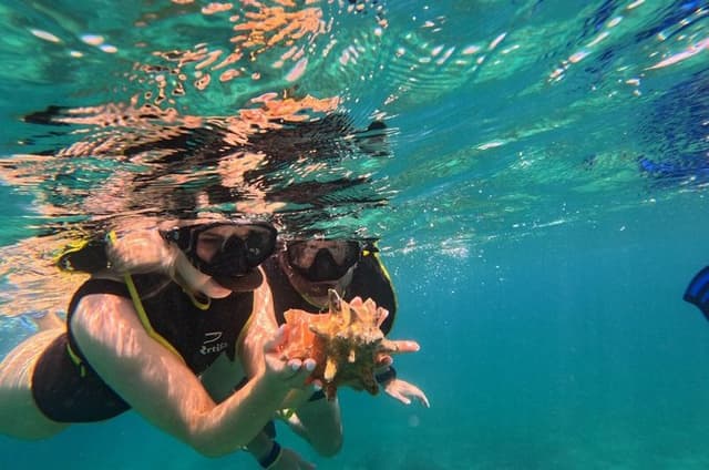 Turtle Snorkeling Experience in Vieques