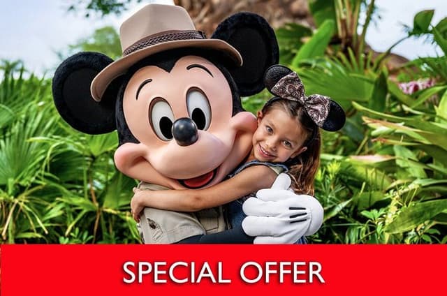 SPECIAL OFFER: 4-Day 4-Park Ticket at Walt Disney World Resort